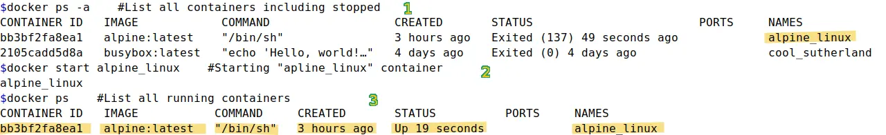 starting existing container