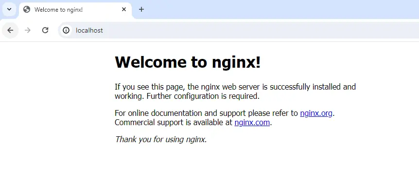 testing nginx server